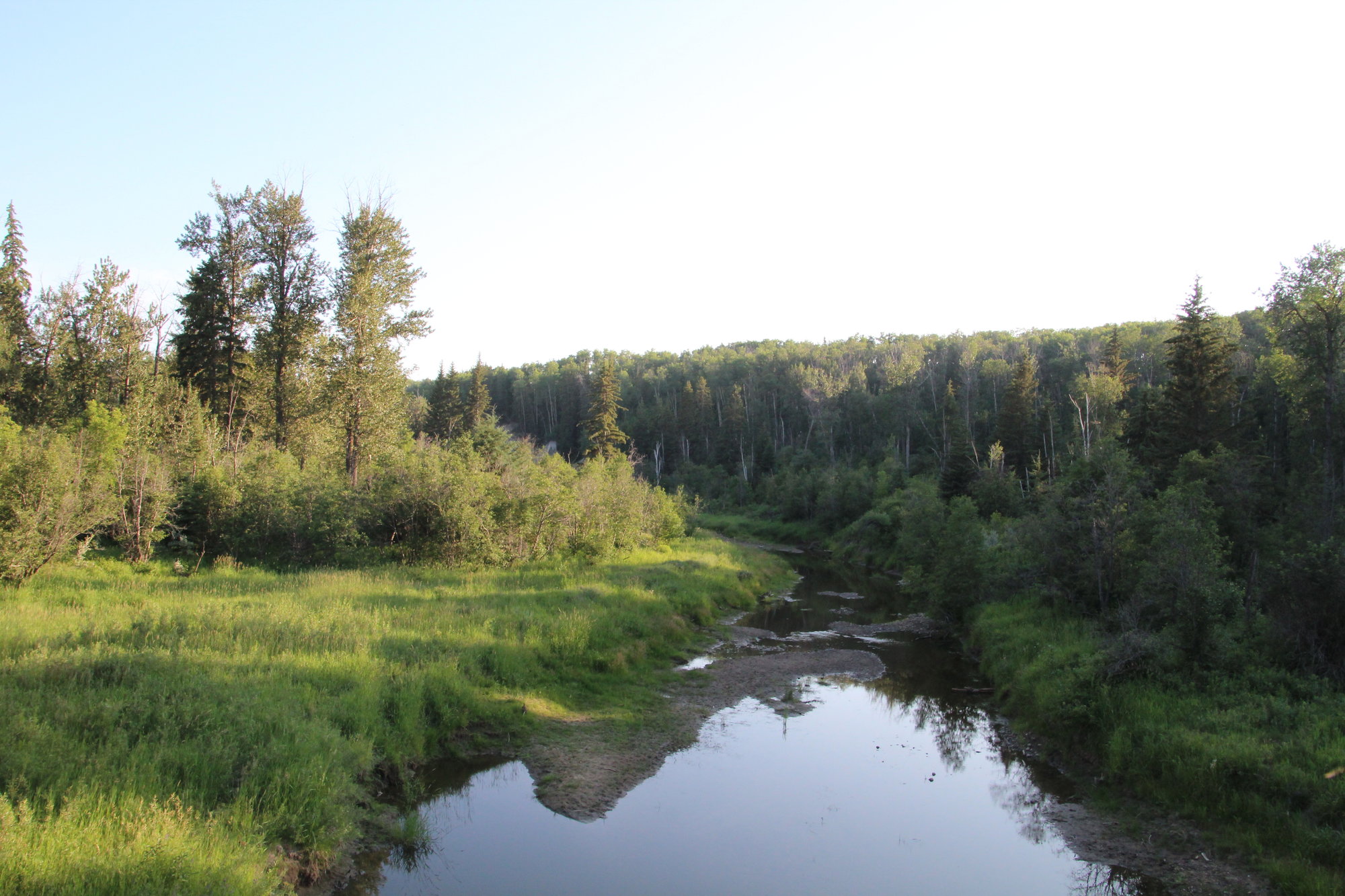 Warm Evening On The Land, Whitemud Park, Edmonton, Alberta
By Michael Mamoon